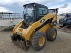 2008 Caterillar 262 for Sale in Nisku, AB - Rear End