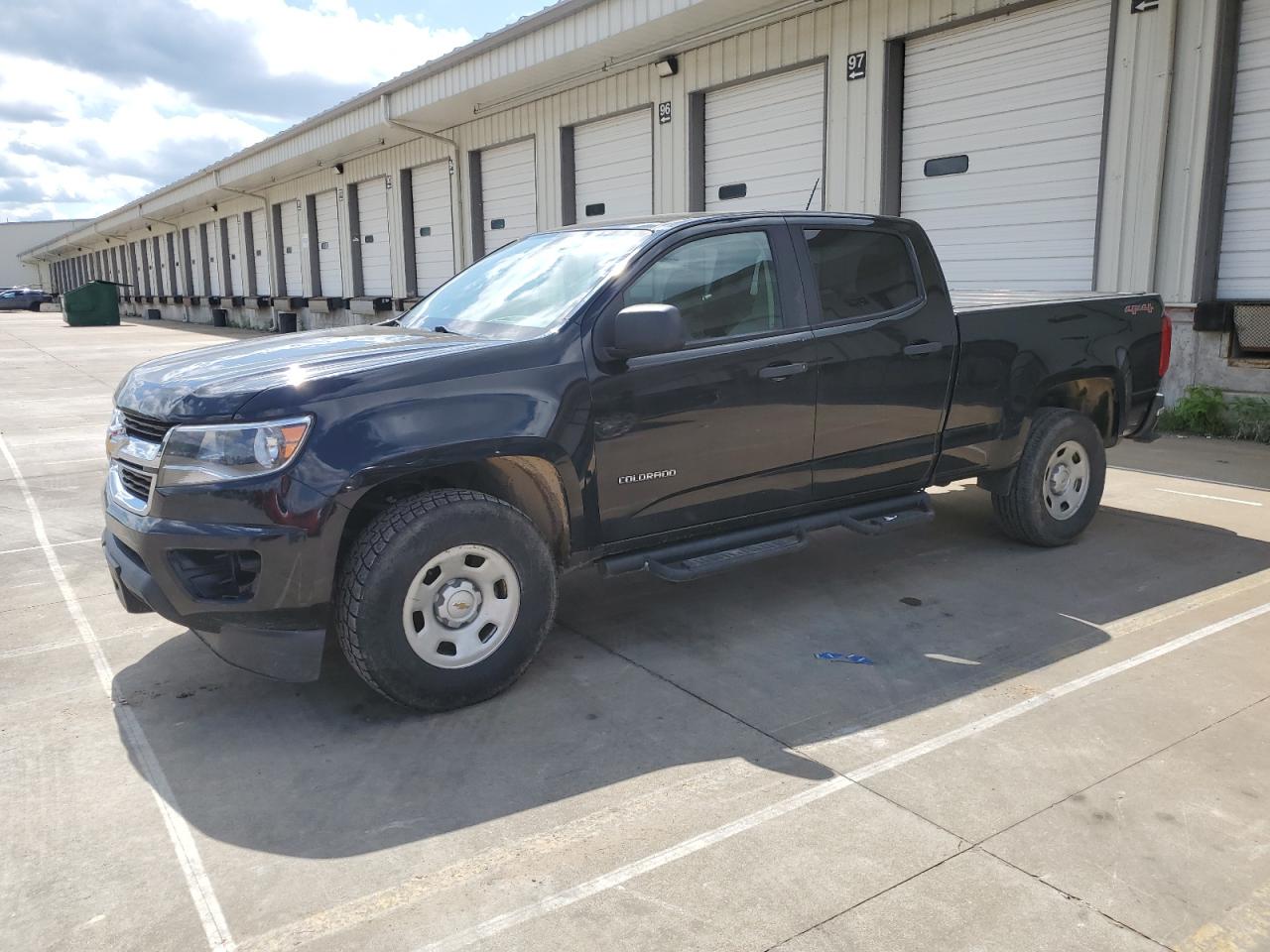 2019 Chevrolet Colorado იყიდება Louisville-ში, KY - Hail