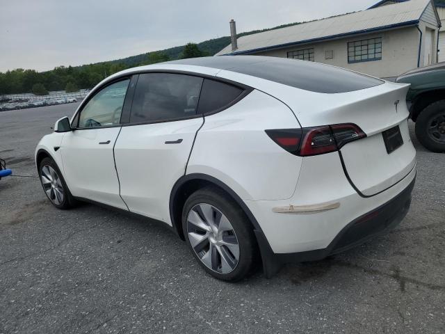 TESLA MODEL Y 2023 Белы