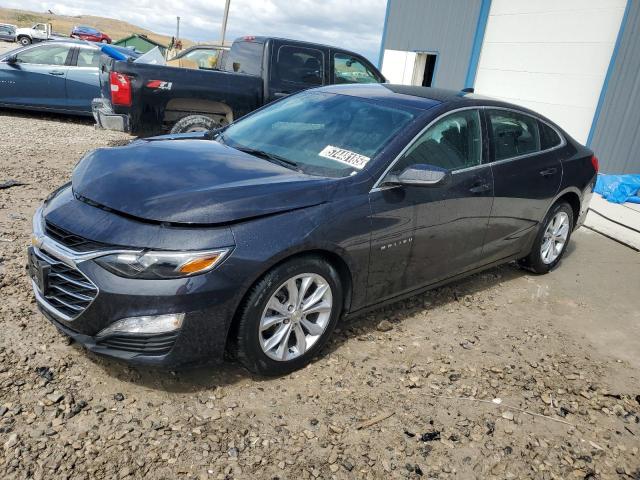  CHEVROLET MALIBU 2023 Gray