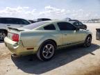 2005 Ford Mustang  for Sale in Jacksonville, FL - Rear End