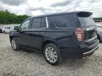 2023 Chevrolet Tahoe K1500 Premier for Sale in Memphis, TN - Side