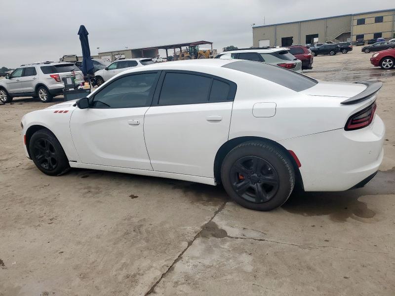  DODGE CHARGER 2023 Белый
