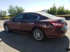 2010 Nissan Maxima S للبيع في Albuquerque، NM - Side