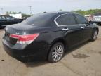 2011 Honda Accord Exl en Venta en New Britain, CT - Biohazard/Chemical