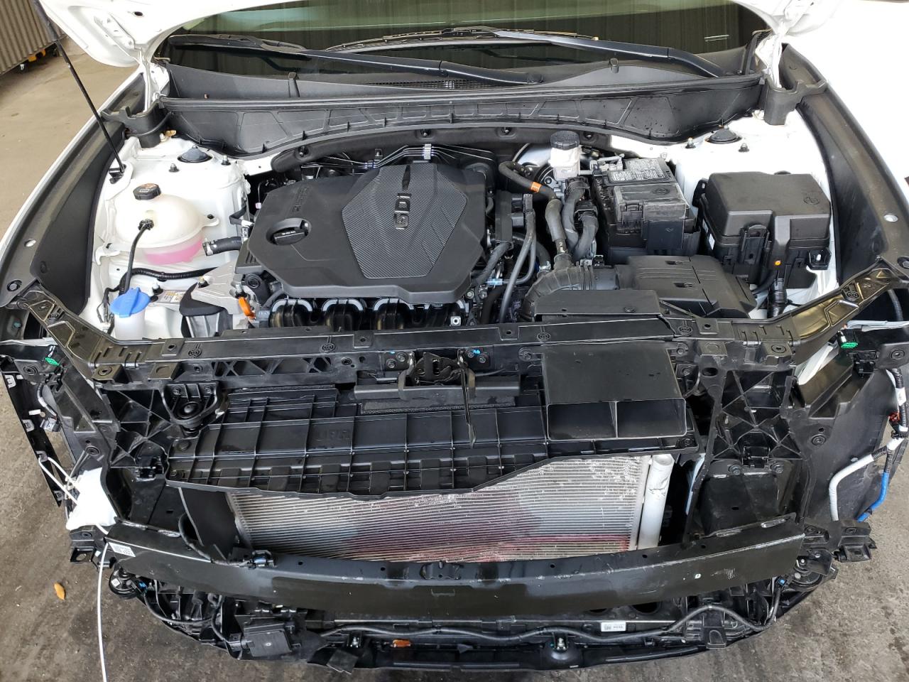 2024 Hyundai Tucson Sel VIN: 5NMJBCDE7RH321679 Lot: 55759655