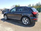 2017 AUDI Q5 PREMIUM à vendre chez Copart ON - TORONTO