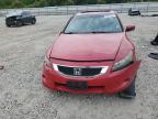 2009 Honda Accord Exl იყიდება Memphis-ში, TN - Biohazard/Chemical