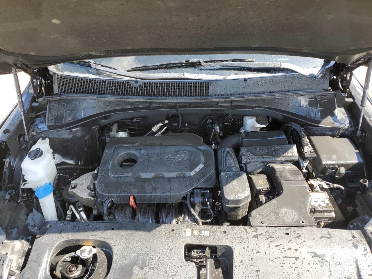 2019 Kia Sorento L VIN: 5XYPG4A36KG542517 Lot: 56360635