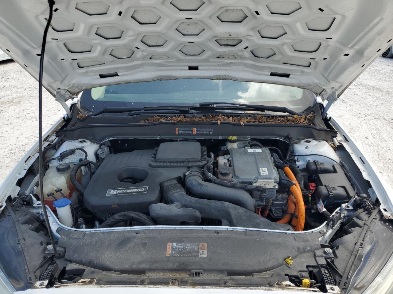 2019 Ford Fusion Se VIN: 3FA6P0LU2KR264009 Lot: 54043115