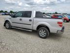 2013 Ford F150 Supercrew   na sprzedaż w Sikeston, MO - Front End