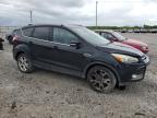 2016 Ford Escape Titanium   for Sale in Lawrenceburg, KY - Front End