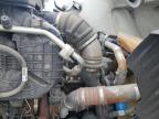 2019 Peterbilt 579 Semi Truck for Sale in Woodhaven, MI - Minor Dent/Scratches