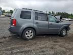 2011 Honda Pilot Exl للبيع في Finksburg، MD - Front End