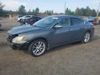 2009 Nissan Maxima S zu verkaufen in Gaston, SC - Front End