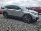 2022 Honda Cr-V Ex for Sale in Earlington, KY - Hail