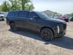 2025 Cadillac Escalade Esv Sport للبيع في Central Square، NY - Normal Wear