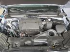 2025 Honda Pilot Black for Sale in Candia, NH - Rear End