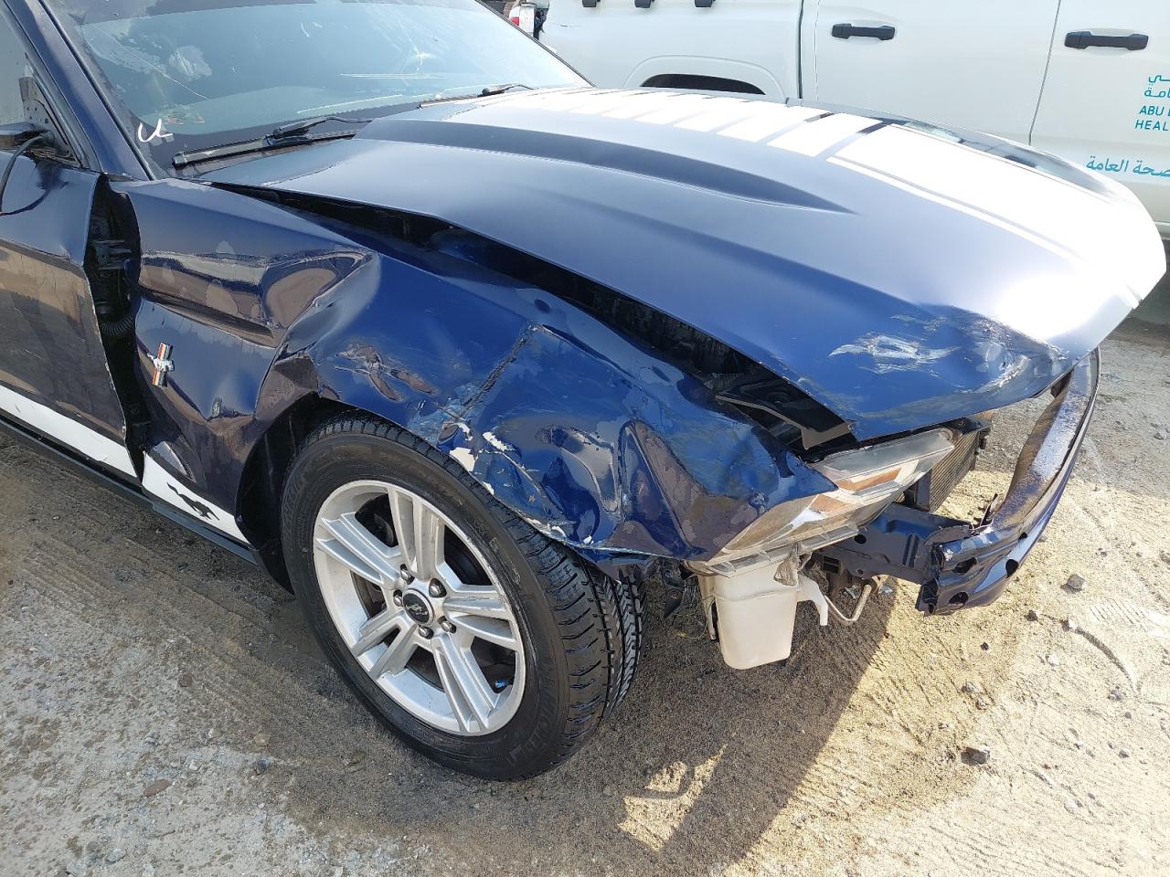 1ZVBP8AM1C5251263 - 2012 Ford MUSTANG - #undefined