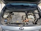 2017 Kia Niro Fe იყიდება Haslet-ში, TX - Minor Dent/Scratches