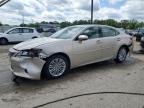 2014 Lexus Es 350 for Sale in Louisville, KY - Front End