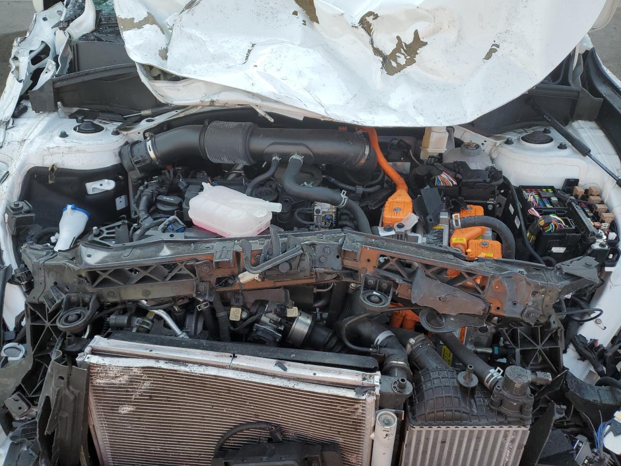 2023 Kia Sorento Sxp VIN: KNDRKDLG8P5177281 Lot: 56393575