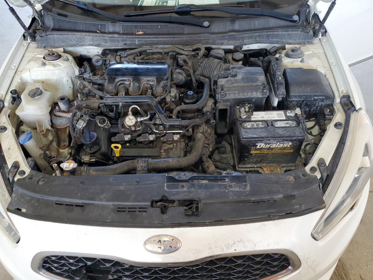 2014 Kia Cadenza Premium VIN: KNALN4D74E5137883 Lot: 55972955