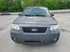 2006 Ford Escape Xlt for Sale in Ellwood City, PA - Rear End