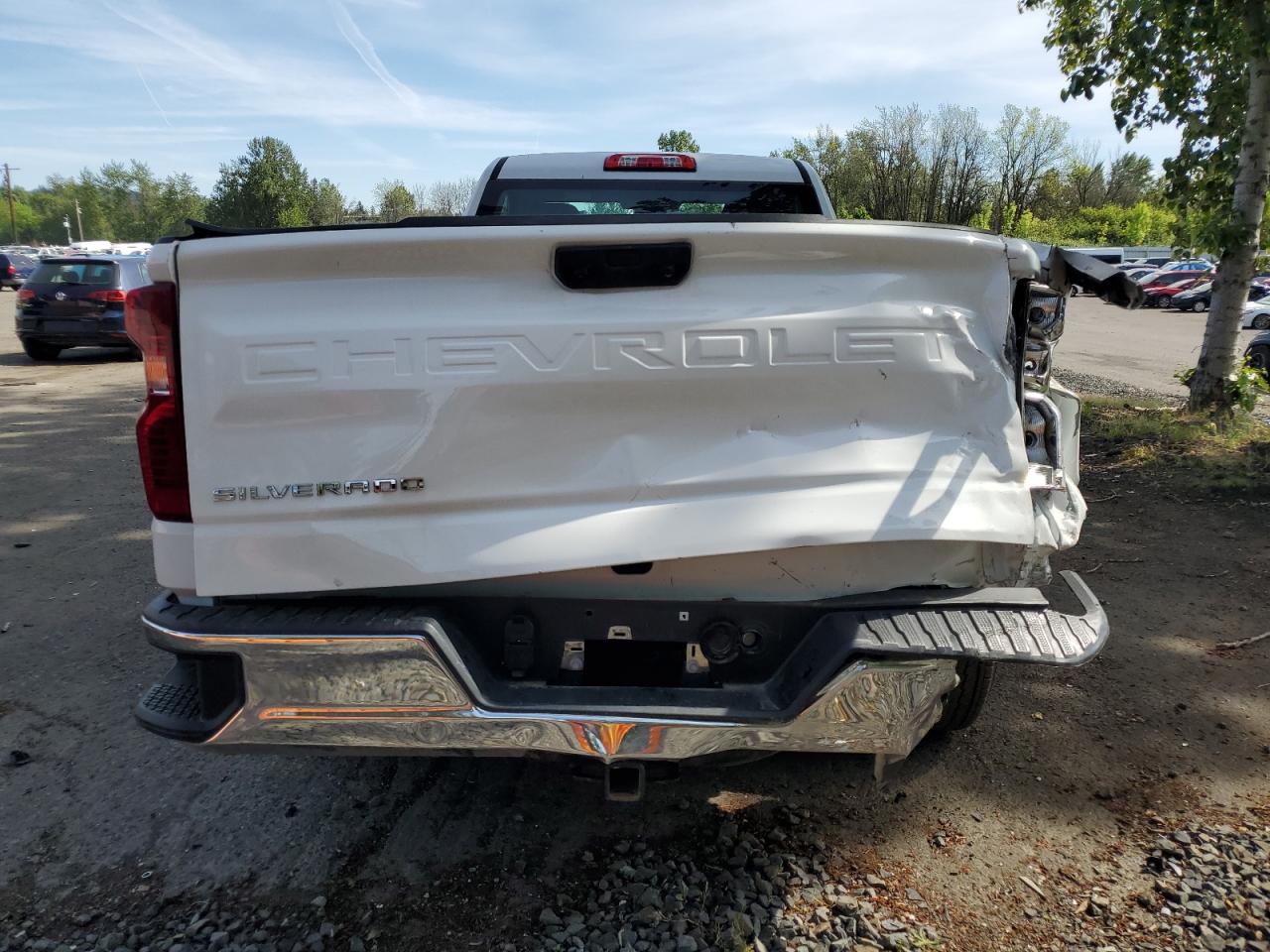 2024 Chevrolet Silverado C1500 VIN: 3GCNAAED1RG292951 Lot: 55852685