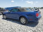 2006 Ford Mustang  for Sale in Arcadia, FL - Front End