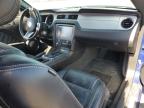 2013 FORD MUSTANG    for sale at Copart ON - TORONTO