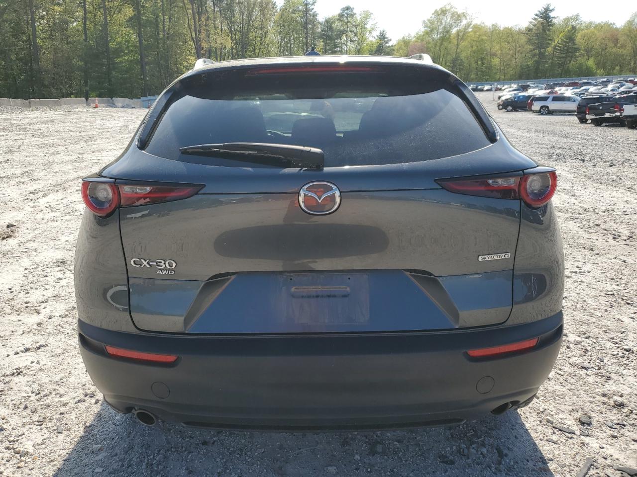 2021 Mazda Cx-30 Premium VIN: 3MVDMBDL1MM318426 Lot: 56730855