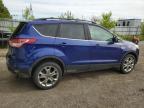 2013 Ford Escape Sel for Sale in London, ON - Rear End