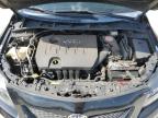 2010 Toyota Corolla Base იყიდება Ocala-ში, FL - Front End