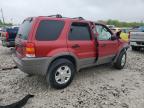 2001 Ford Escape Xlt   de vânzare în Wayland, MI - Front End