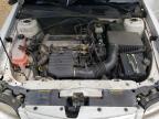 2004 Chevrolet Classic  for Sale in Chatham, VA - Rear End