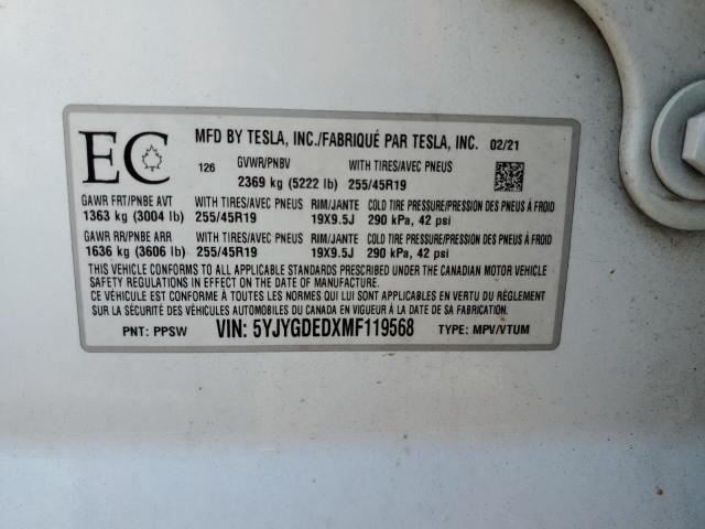2021 TESLA MODEL Y   