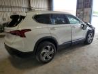 2023 Hyundai Santa Fe Sel for Sale in Abilene, TX - Biohazard/Chemical