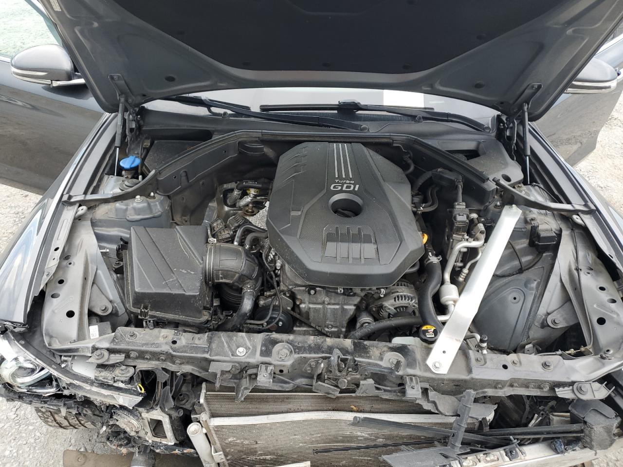 2019 Genesis G70 Elite VIN: KMTG34LA2KU030213 Lot: 57126525