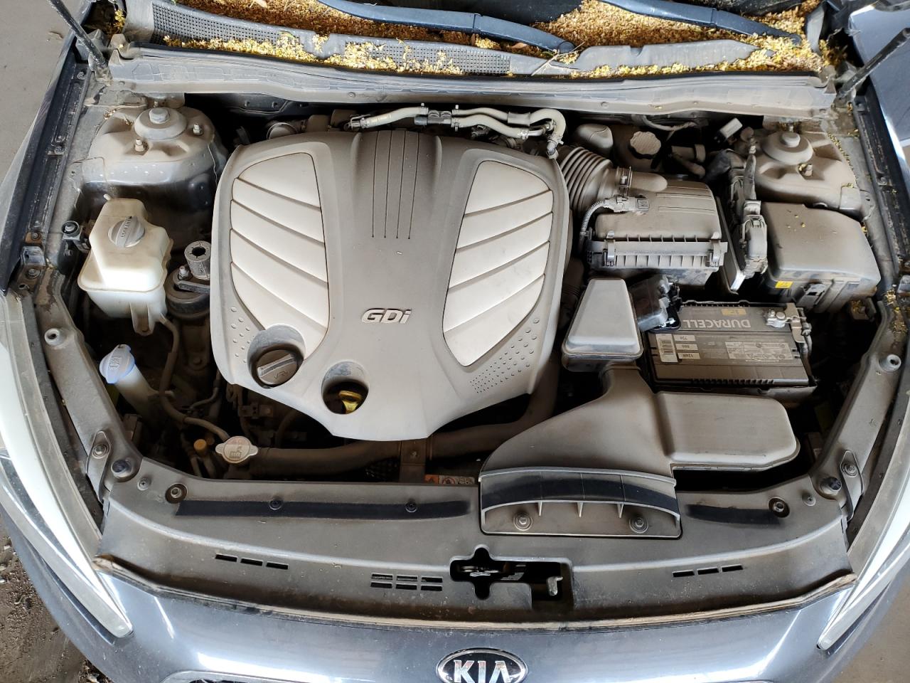 2014 Kia Cadenza Premium VIN: KNALN4D75E5157303 Lot: 56990495