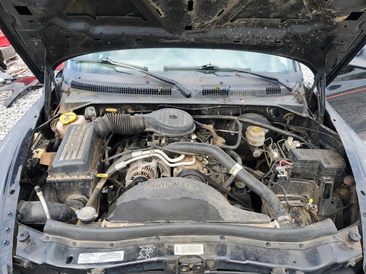 1997 Dodge Dakota VIN: 1B7FL26X9VS201893 Lot: 57107225