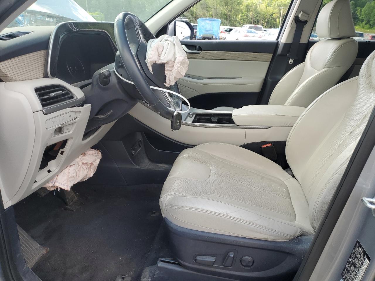 2020 Hyundai Palisade Sel VIN: KM8R44HE4LU062920 Lot: 57974525
