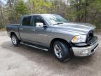 2012 DODGE RAM 1500 SLT for sale at Copart ON - COOKSTOWN
