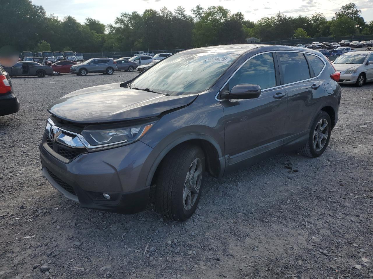 Madisonville, TN에서 판매 중인 2017 Honda Cr-V Ex - Rear End