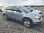 2007 Honda Cr-V Lx იყიდება Earlington-ში, KY - Hail
