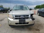 2010 Ford Escape Xlt for Sale in Pekin, IL - Front End