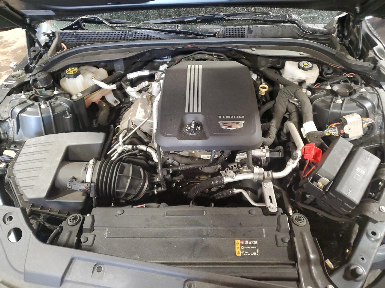 2021 Cadillac Ct5 Premium Luxury VIN: 1G6DT5RK8M0107543 Lot: 56506505