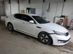 2013 Kia Optima Hybrid на продаже в Lexington, KY - Front End