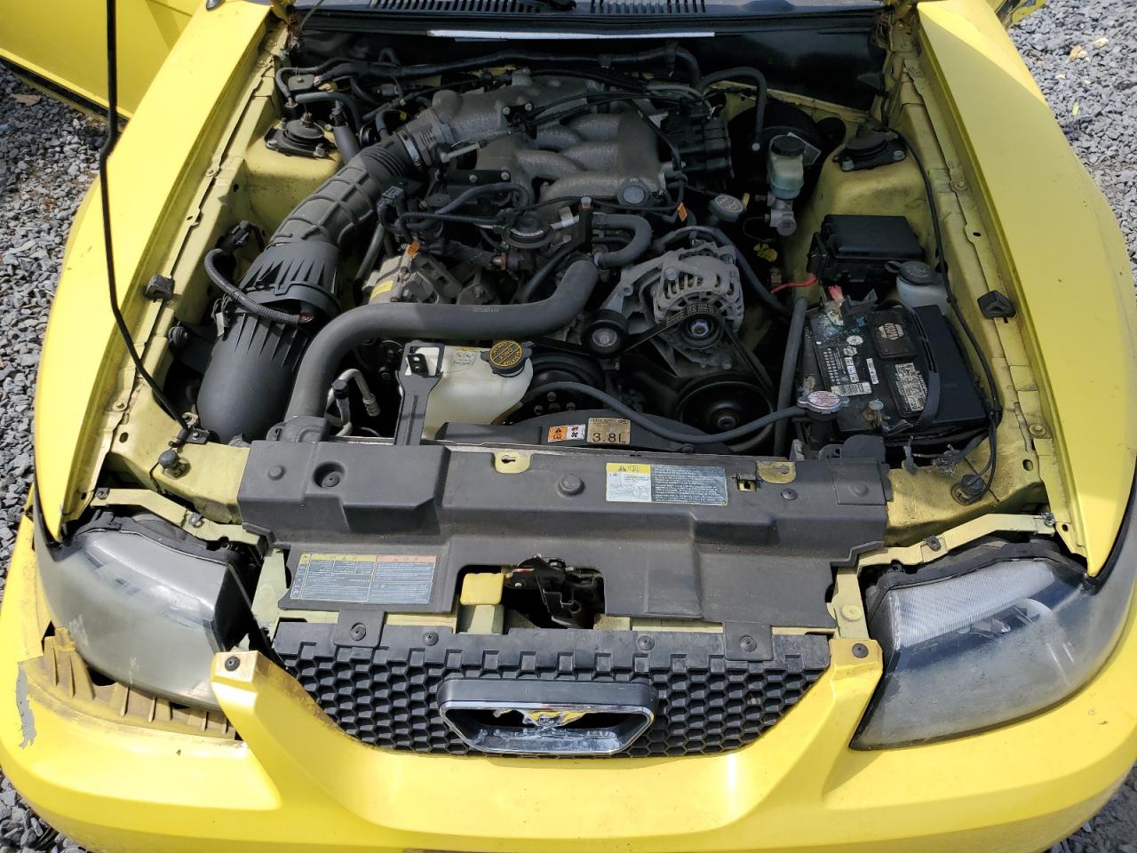 2002 Ford Mustang VIN: 1FAFP44442F145543 Lot: 58631425