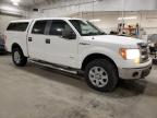 2014 Ford F150 Supercrew for Sale in Avon, MN - Rear End
